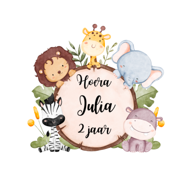 Kleurrijke illustratie met dieren rondom een naam en leeftijd.